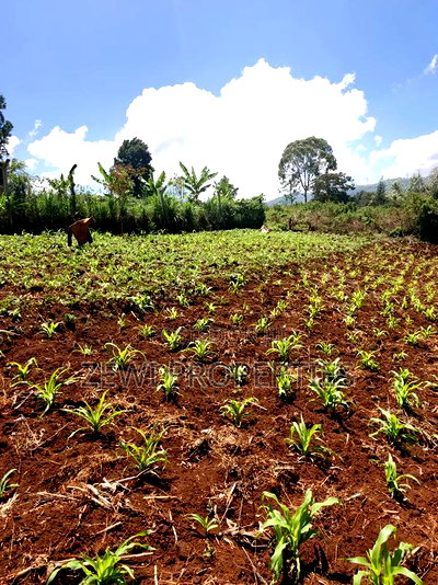 Half Acre Upper Matasia - Image 1