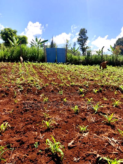 Half Acre Upper Matasia - Image 3