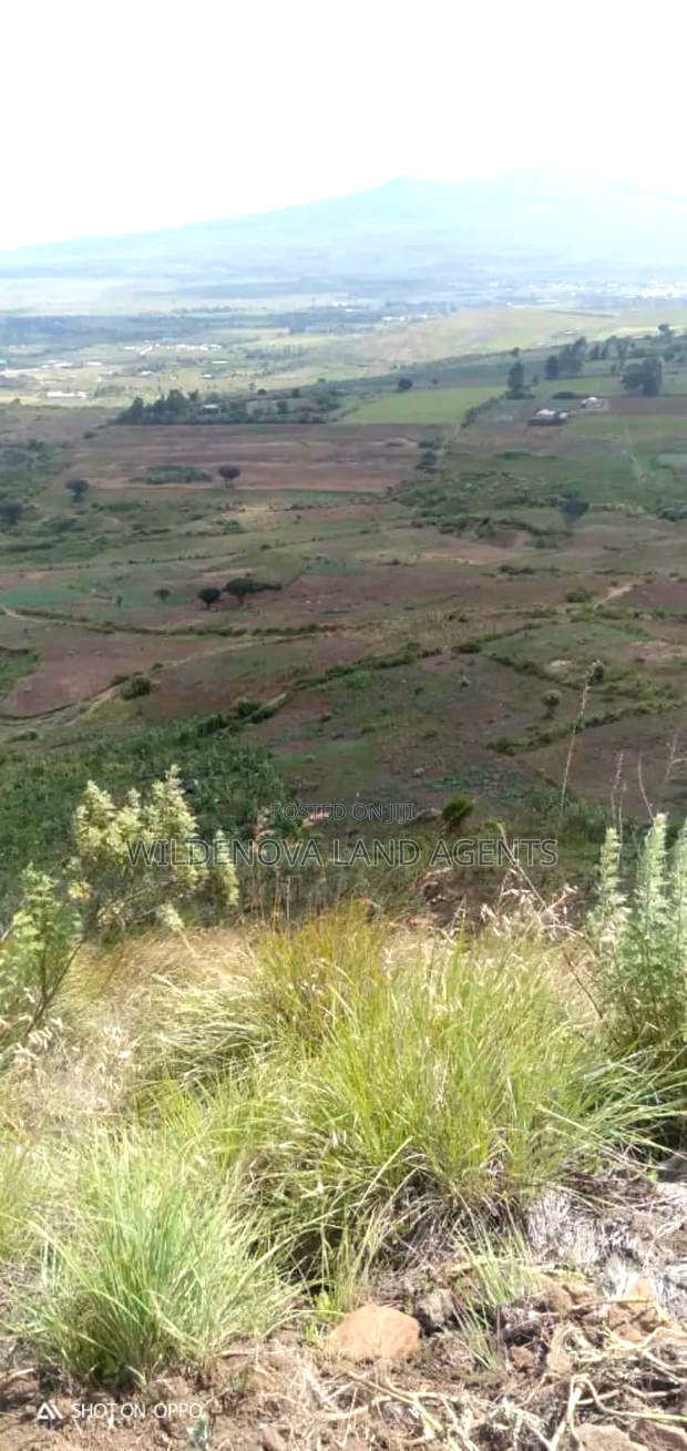 13.5 Acres on Sale at Kiabogo Longonot Naivasha