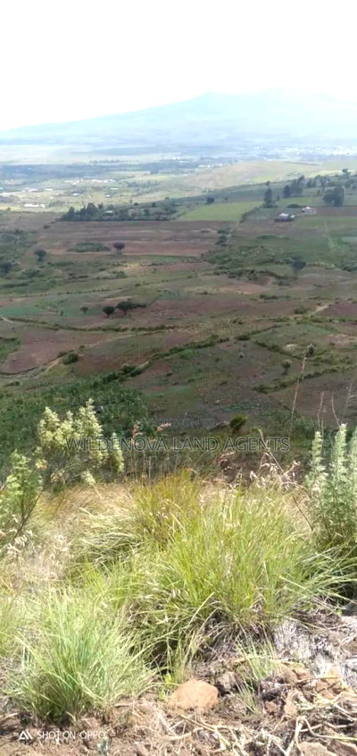 13.5 Acres on Sale at Kiabogo Longonot Naivasha - Image 1