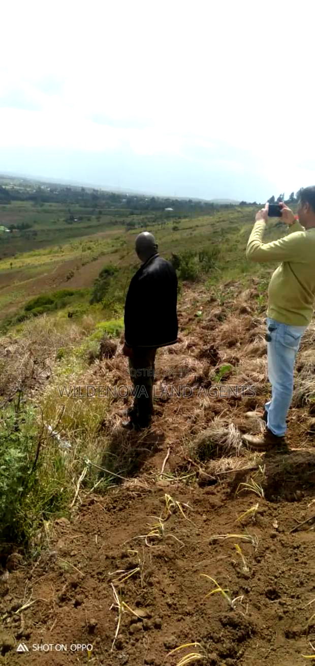 13.5 Acres on Sale at Kiabogo Longonot Naivasha