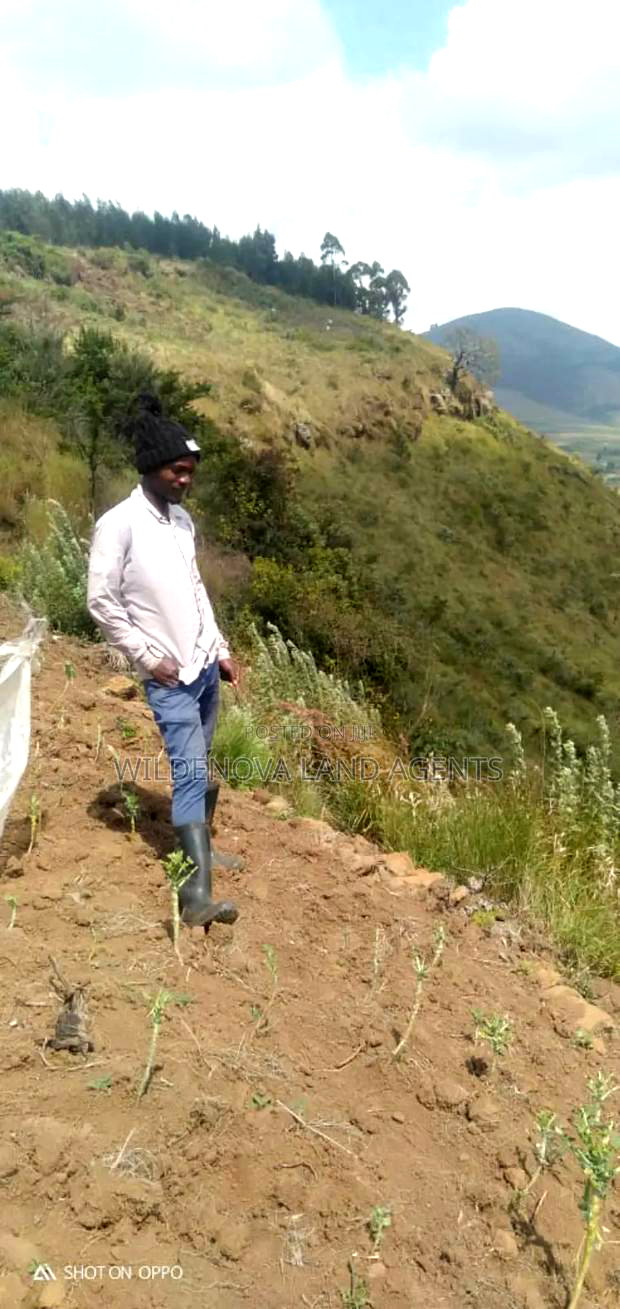 13.5 Acres on Sale at Kiabogo Longonot Naivasha