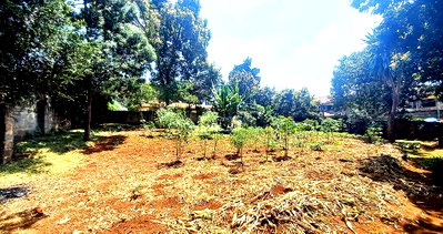 0.36 Acre Lavington Plot for KSh 75M