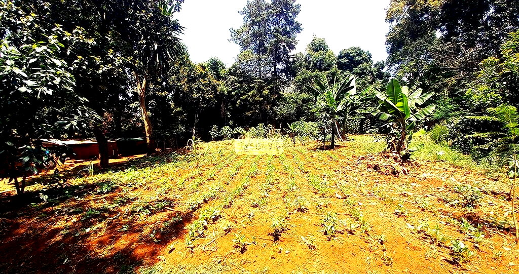 0.36 Acre Lavington Plot for KSh 75M