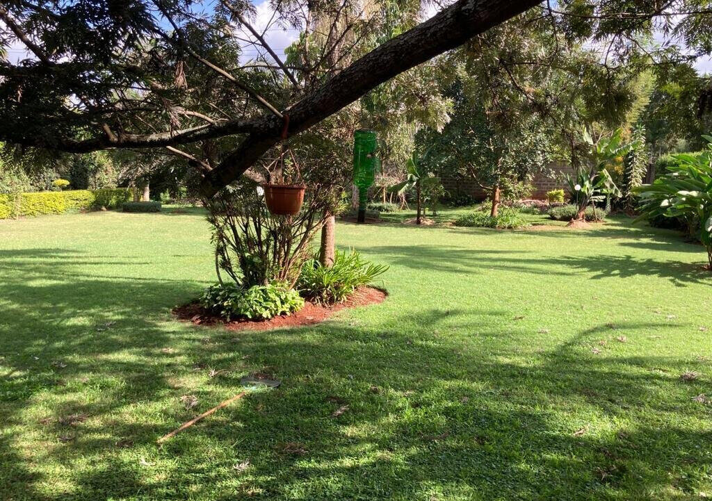 4BR Haven with Garden at KSh 380M