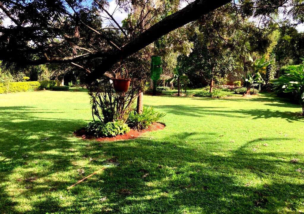 4BR Haven with Garden at KSh 380M