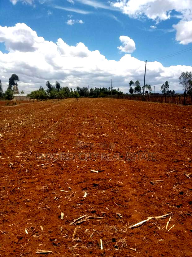 3.1acres Soy Simbi With Title 3km From Tarmac