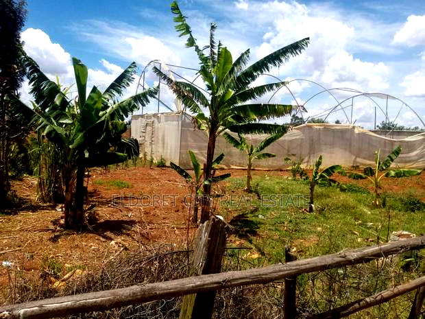 3.1acres Soy Simbi With Title 3km From Tarmac