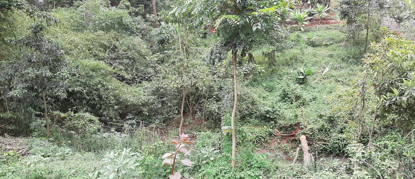 1.2-Acre Garden Plot in Westlands