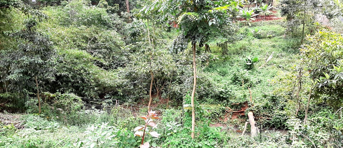 1.2-Acre Garden Plot in Westlands