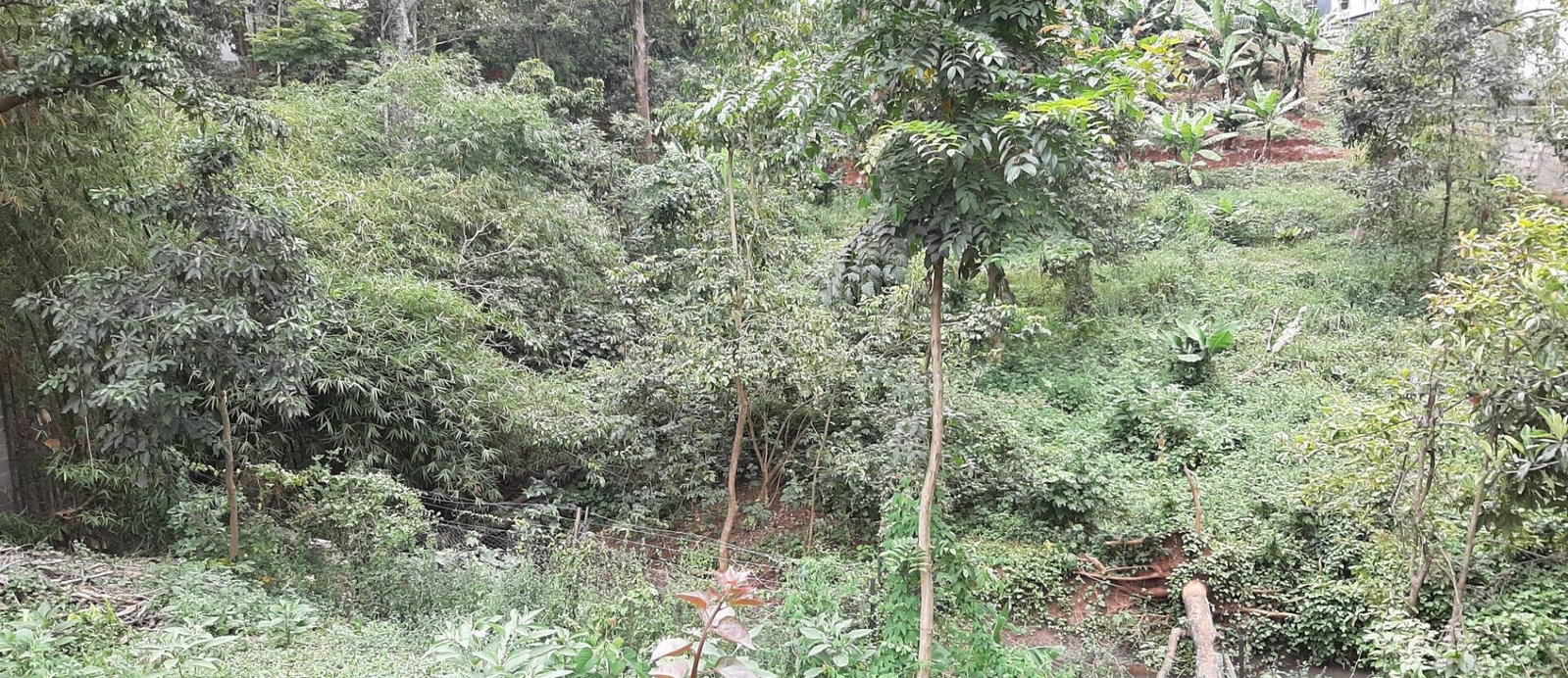 1.2-Acre Garden Plot in Westlands