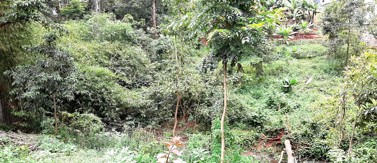 1.2-Acre Garden Plot in Westlands