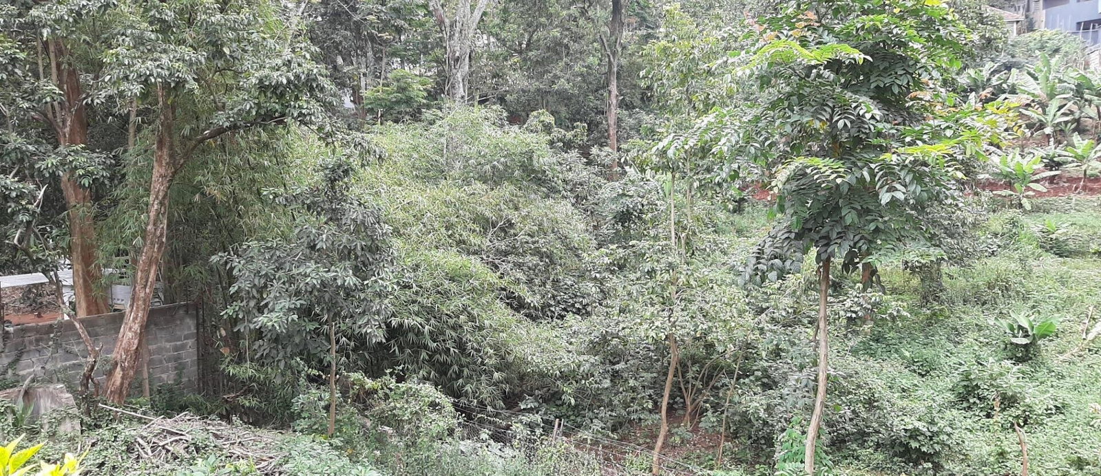 1.2-Acre Garden Plot in Westlands