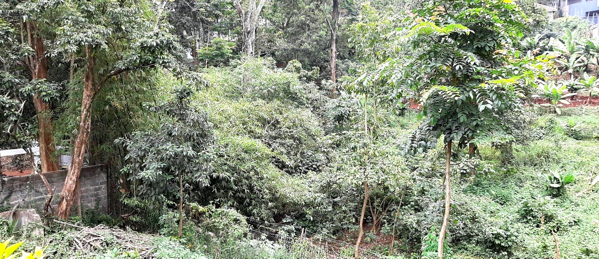 1.2-Acre Garden Plot in Westlands