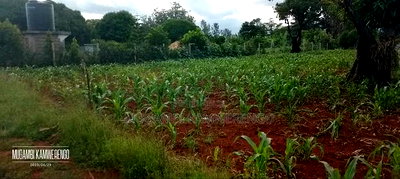 Gachoka 1/2 Acre - Image 3