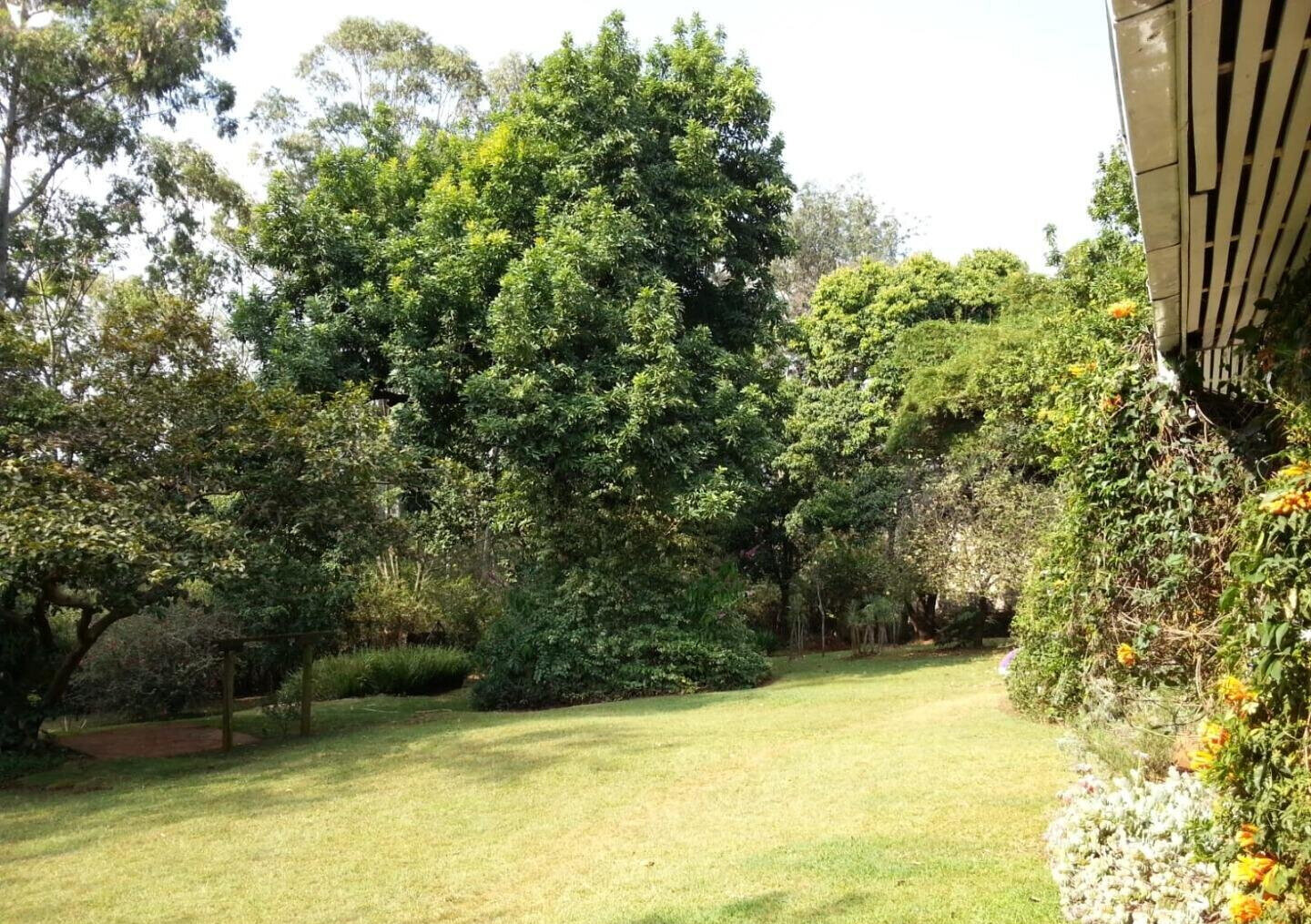 KSh 90M Ngara Plot