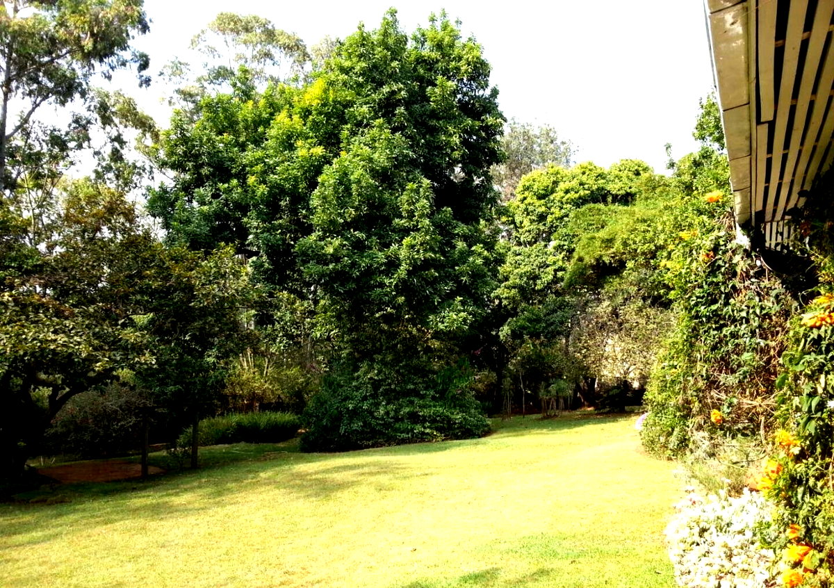 KSh 90M Ngara Plot