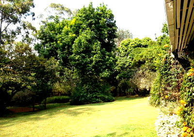 KSh 90M Ngara Plot
