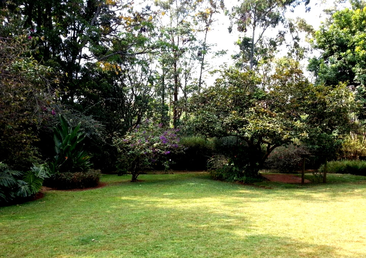 KSh 90M Ngara Plot