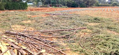 Afordable 1/4 Plot for Sale in Chepkanga Willow Tree Eldoret - Image 8