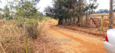 Afordable 1/4 Plot for Sale in Chepkanga Willow Tree Eldoret - Image 7