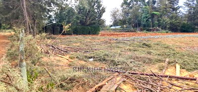 Afordable 1/4 Plot for Sale in Chepkanga Willow Tree Eldoret - Image 3