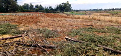 Afordable 1/4 Plot for Sale in Chepkanga Willow Tree Eldoret - Image 6