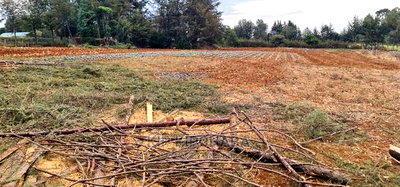 Afordable 1/4 Plot for Sale in Chepkanga Willow Tree Eldoret - Image 4