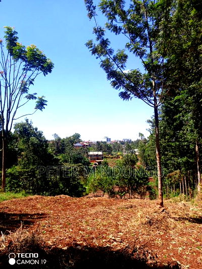 Ruaka Town 1/2 Acre on Sale - Image 4