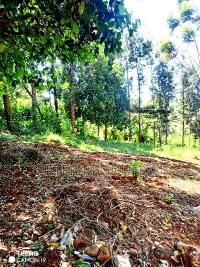Ruaka Town 1/2 Acre on Sale - Image 7