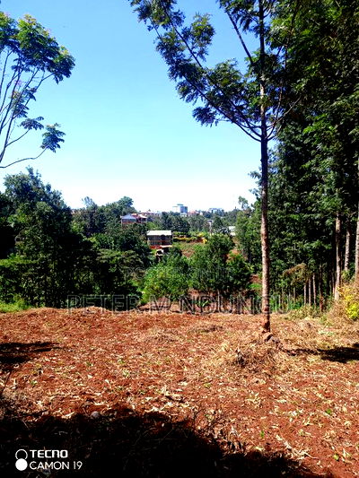Ruaka Town 1/2 Acre on Sale - Image 3