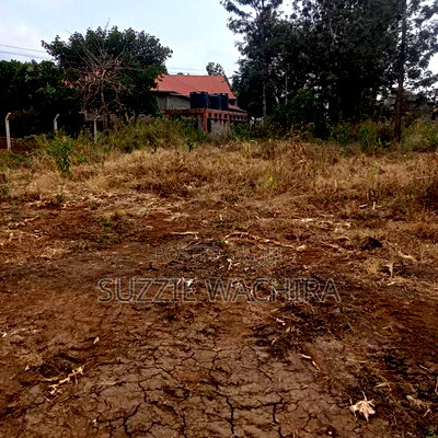 40*80ft Commercial Plots at Kenol Town for Sale - Image 2