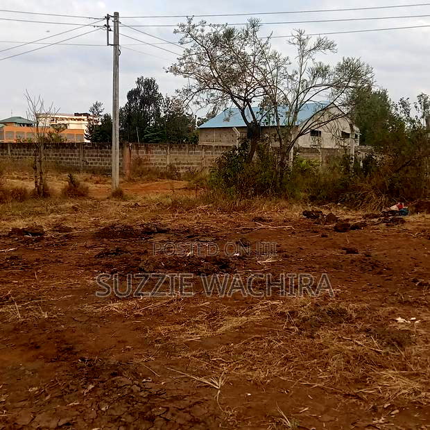 40*80ft Commercial Plots at Kenol Town for Sale