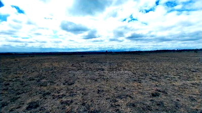 Quarter Acre Plots for Sale in Oloika,Kitengela - Image 4