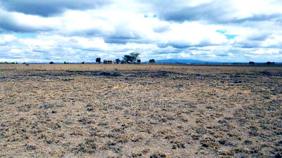 Quarter Acre Plots for Sale in Oloika,Kitengela - Image 2