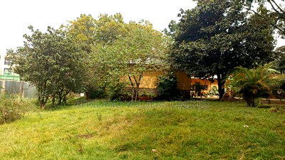 Prime 3/4 Acre Plot for Sale in Kileleshwa Along Othaya Road - Image 2