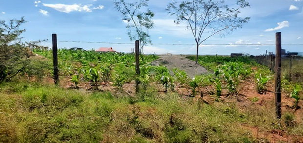 Olkalao Plot for Sale