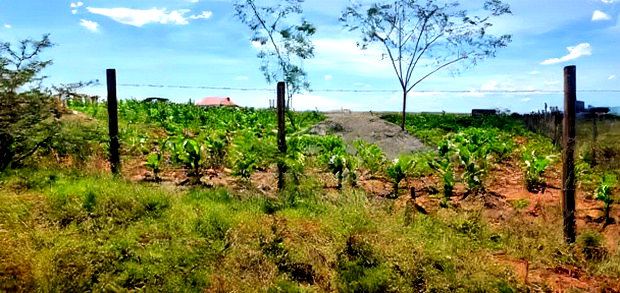 Olkalao Plot for Sale