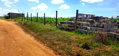 Olkalao Plot for Sale - Image 2