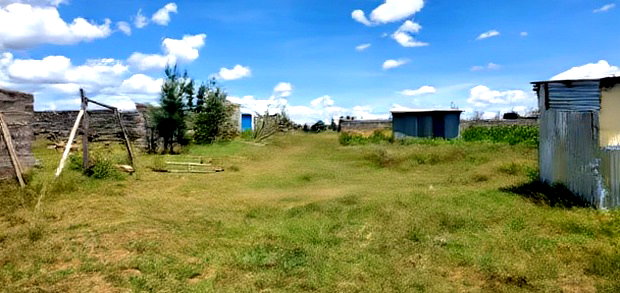 Olkalao Plot for Sale