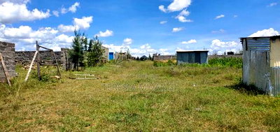 Olkalao Plot for Sale - Image 3