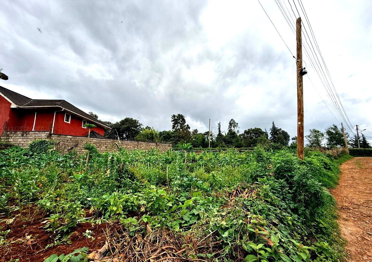 KSh 15M Plot with Garden and Parking