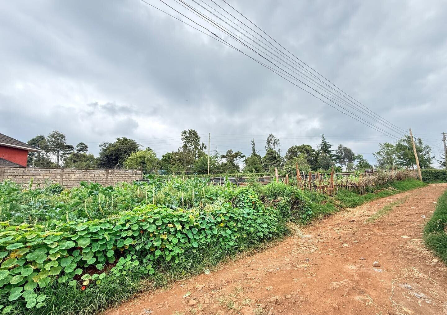 KSh 15M Plot with Garden and Parking