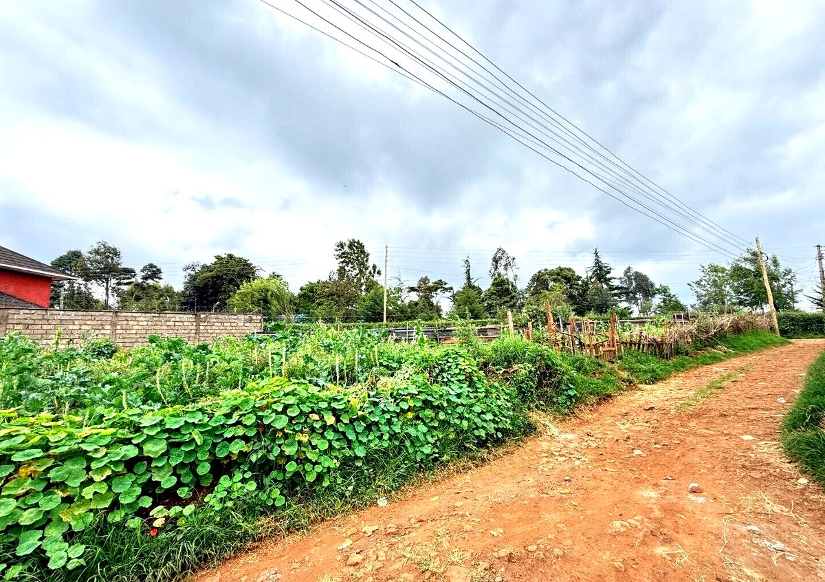 KSh 15M Plot with Garden and Parking