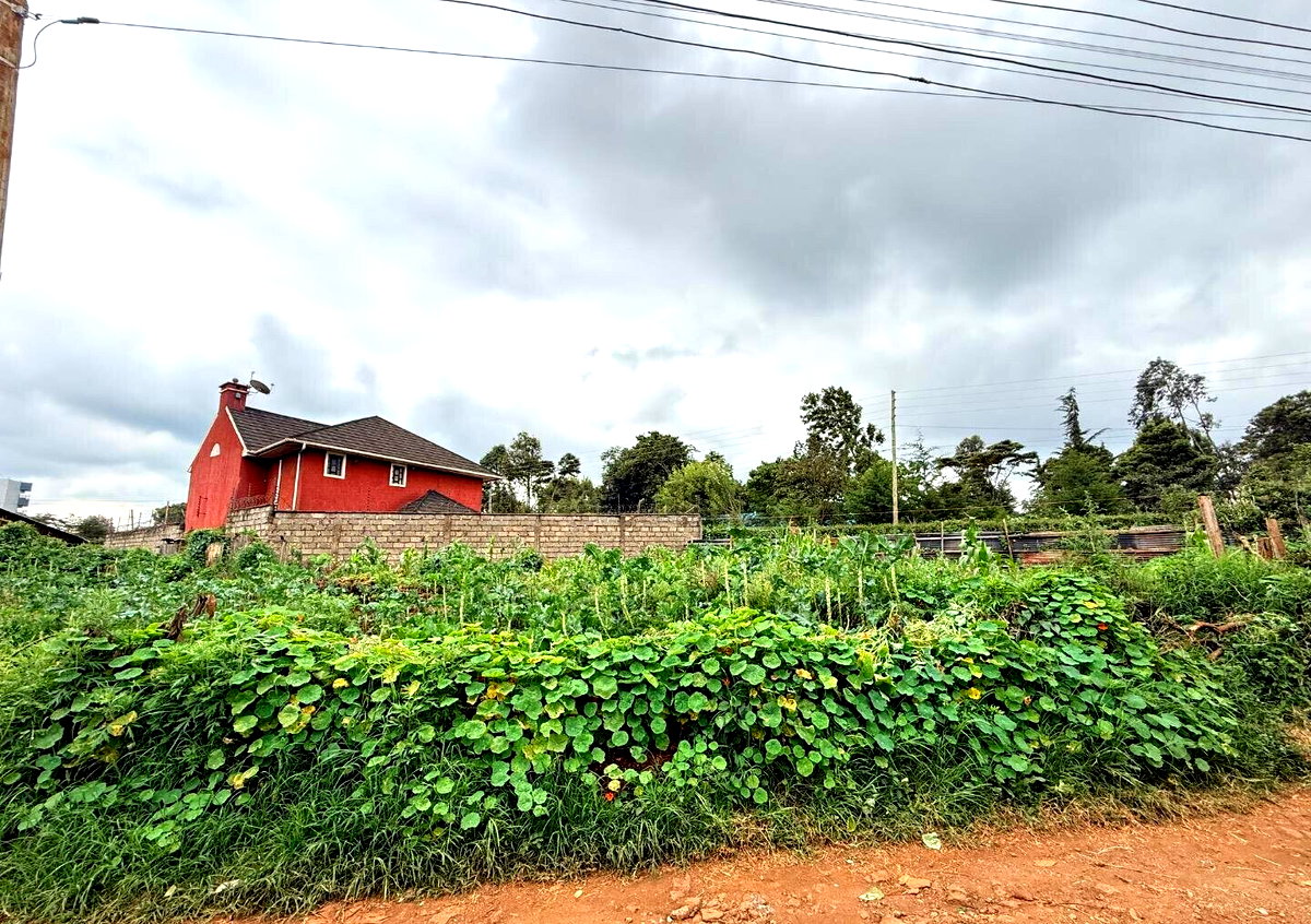 KSh 15M Plot with Garden and Parking