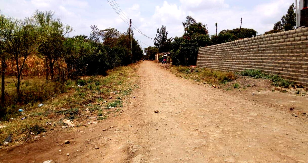 50x100 Plot with Garden in Ruiru