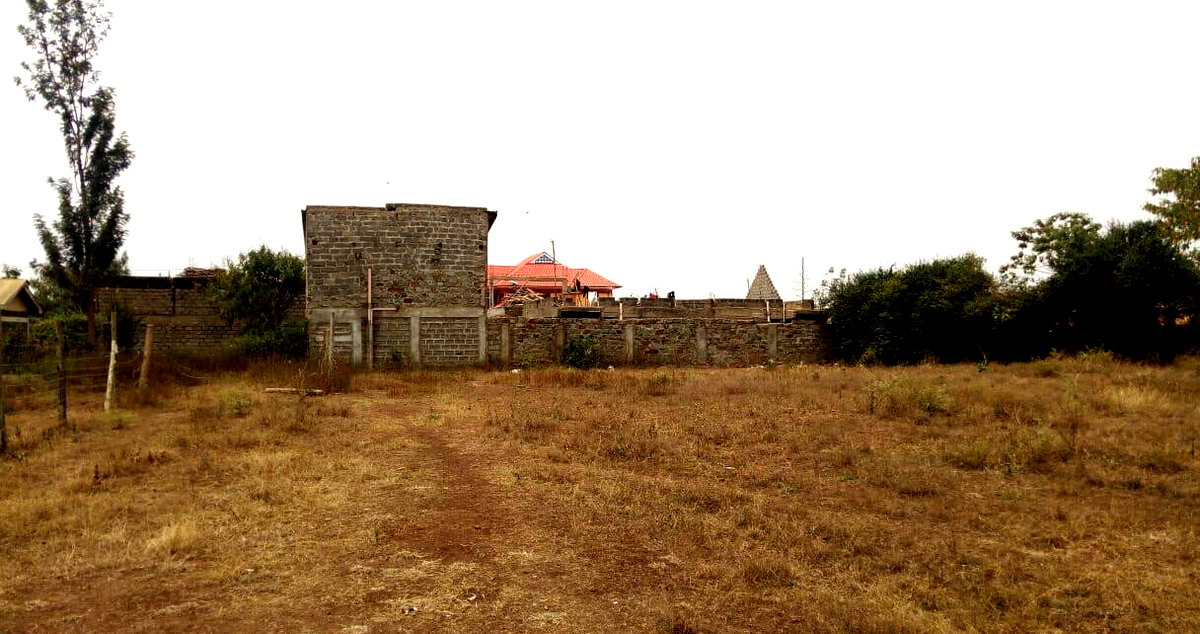 50x100 Plot with Garden in Ruiru
