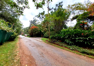 5.5-Acre Kibagare Valley Estate with Artist Studio – Loresho