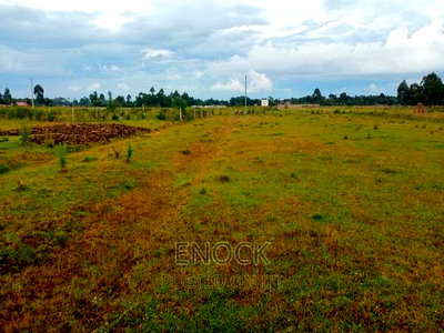 1/4acre Plots for Sale in Ilula, Eldoret - Image 2