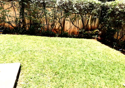 1-Acre Garden Plot for KSh 385M